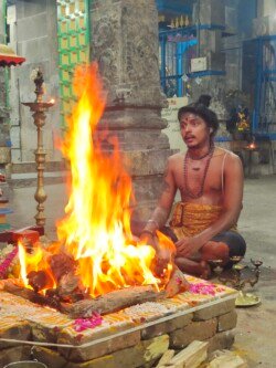 module:1facing:0; ?hw-remosaic: 0; ?touch: (-1.0, -1.0); ?modeInfo: ; ?sceneMode: Night; ?cct_value: 0; ?AI_Scene: (200, -1); ?aec_lux: 0.0; ?hist255: 0.0; ?hist252~255: 0.0; ?hist0~15: 0.0; ?module:1facing:0;
hw-remosaic: 0;
touch: (-1.0, -1.0);
modeInfo: ;
sceneMode: Night;
cct_value: 0;
AI_Scene: (200, -1);
aec_lux: 0.0;
hist255: 0.0;
hist252~255: 0.0;
hist0~15: 0.0;